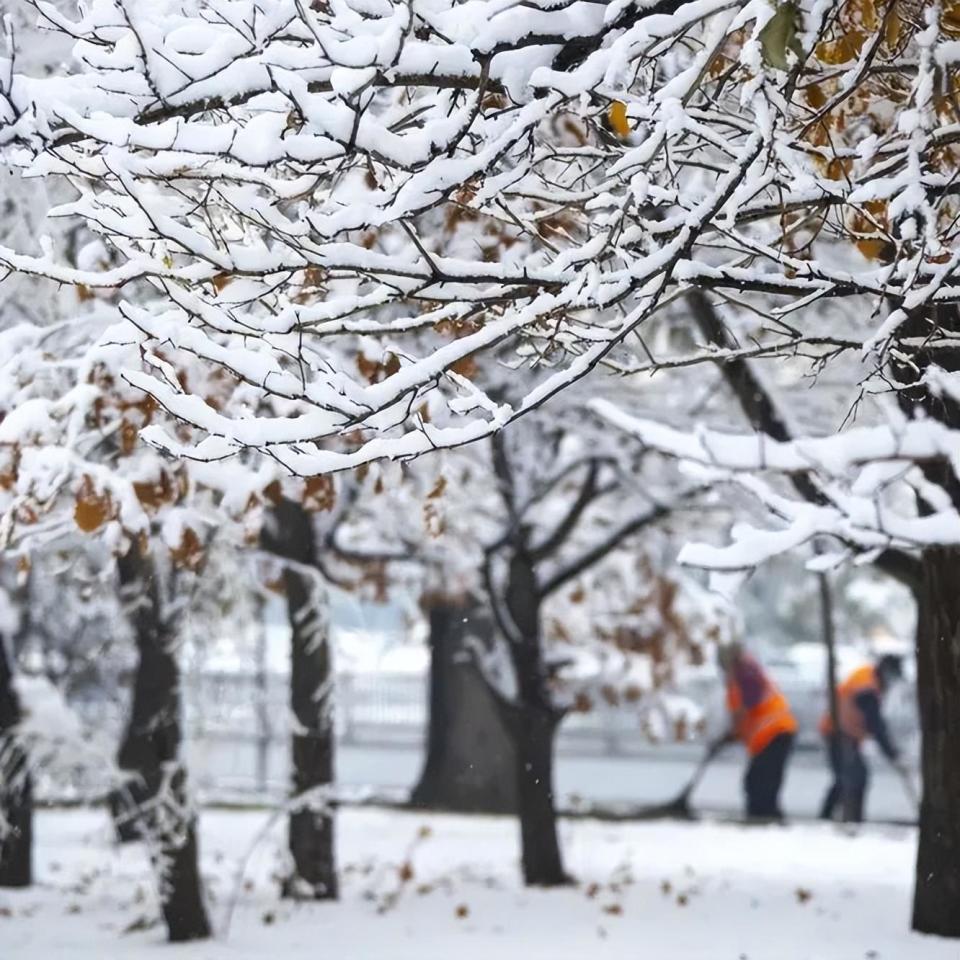 一起看看吉林市的雪景~今天来和小吉开启了吉林人的入冬步伐裹挟着