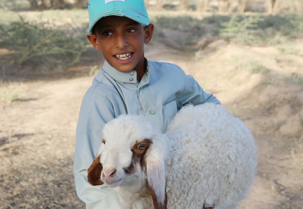 伊拉克放羊娃的儿童节心愿