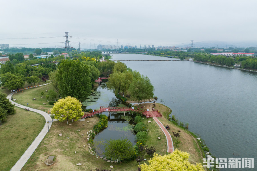 5月5日,城阳区白沙河运动公园里一片绿意浓浓的动人景象.