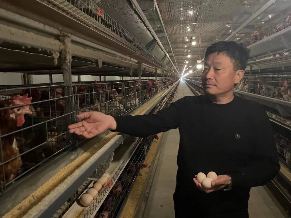 周志峰在养鸡场.