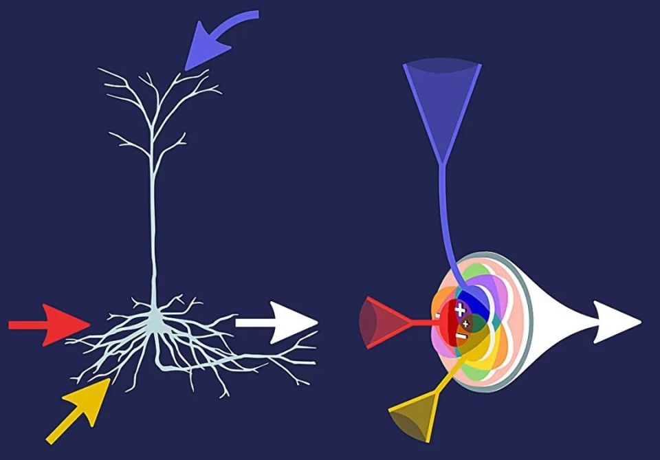 心电图机器怎么看追问weekly ｜ 过去一周，脑科学领域有哪些新发现？_https://www.jmylbn.com_新闻资讯_第11张