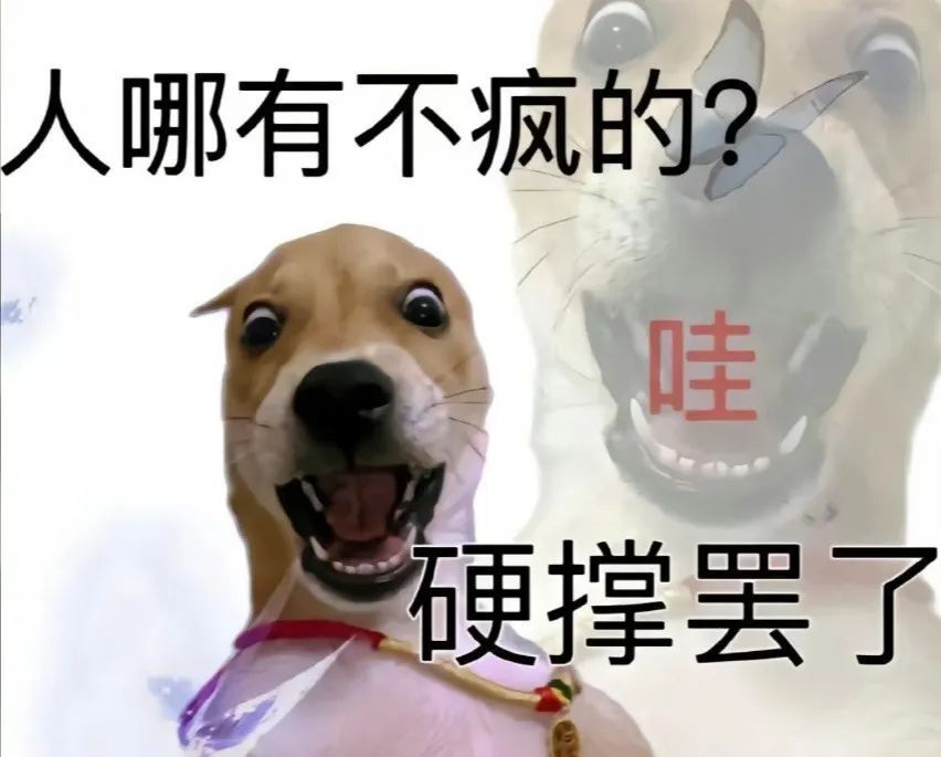 今年,每个月的热梗轮番更换,但似乎都离不开"疯"这一个内核:从特种兵