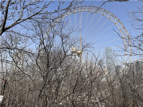 劳动公园摩天轮拆除 大连市民集体"忆青春"_腾讯新闻