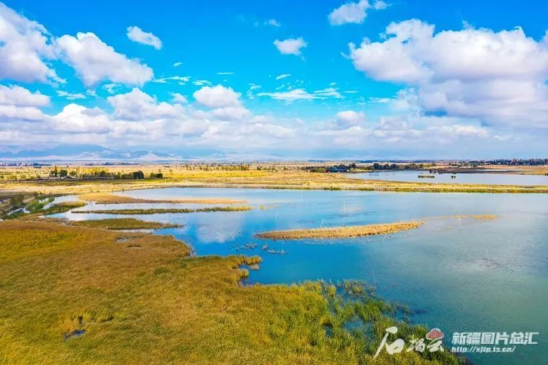 新源县又双叒叕上榜了!