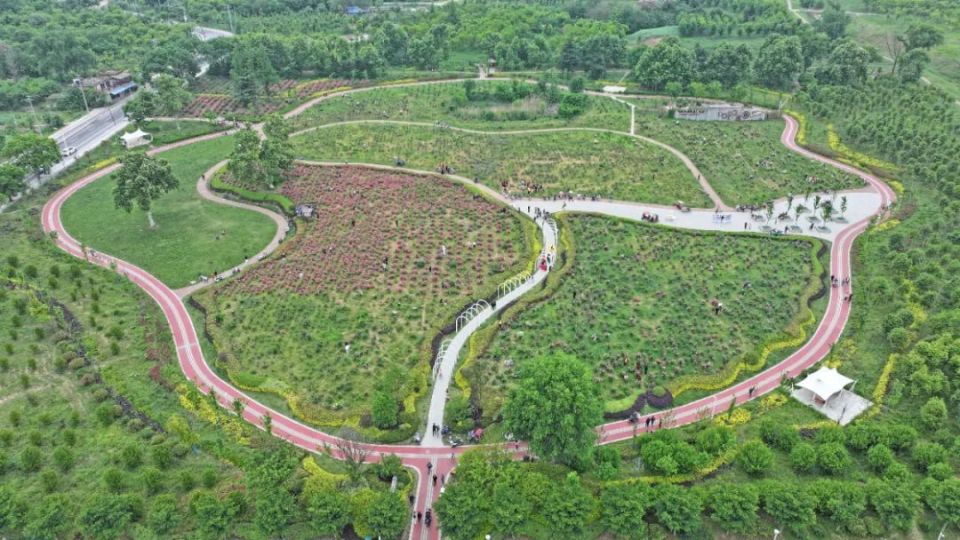 大通湿地公园月季园老龙眼生态公园老龙眼风景区淮南洞山隧道老龙眼