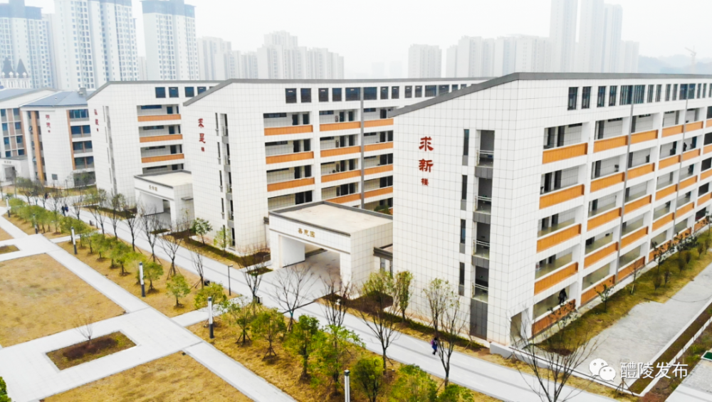 醴陵:春风得意马蹄疾 慕贤引智聚英才