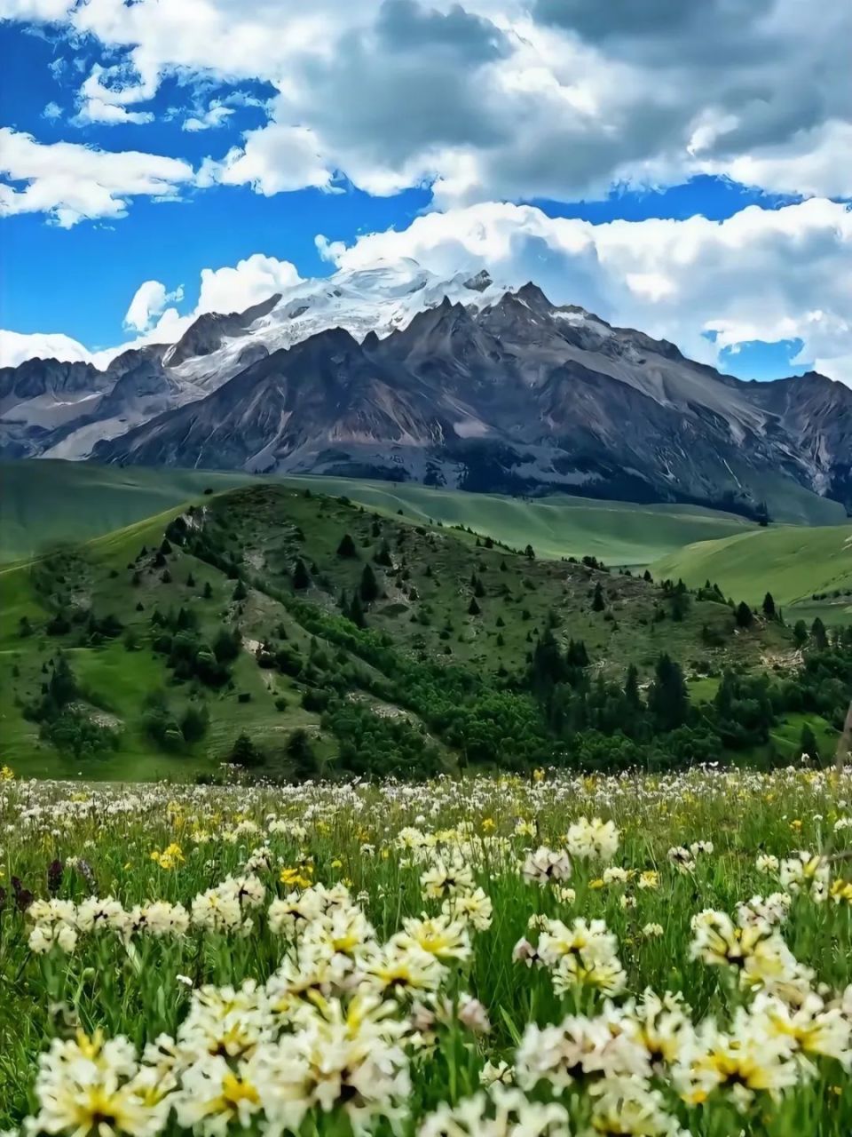 不如来甘孜"巴太"的家乡,邂逅开满鲜花的空中草原!