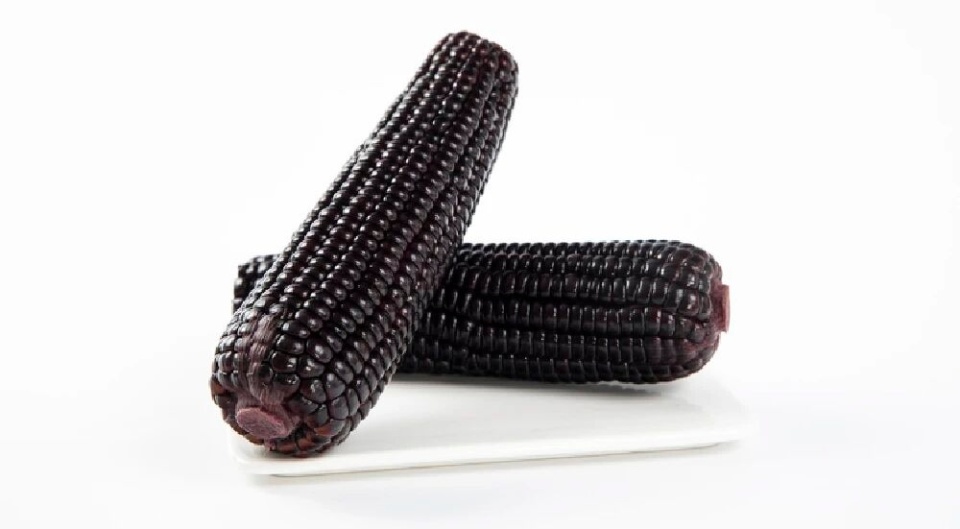 当心！这类粗粮会让血糖飙升_腾讯新闻