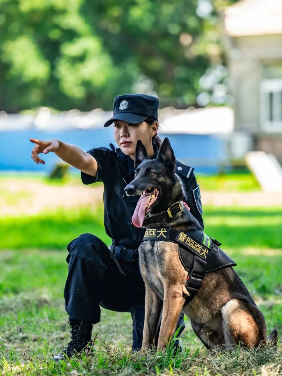 北京女子警犬队图片