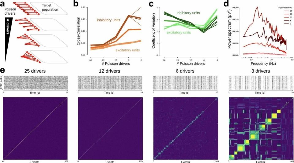 进口脑电图机有哪些追问daily ｜ Science：警惕进口海鱼带来的意外健康风险；推翻教科书，脑皮层活动并非基于吸引子_https://www.jmylbn.com_新闻资讯_第2张