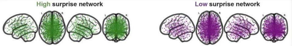 为什么kj更能刺激自己追问daily ｜ 5%神经连接决定95%大脑效率；吃饭快慢谁控制？50英镑3小时造显微镜_https://www.jmylbn.com_新闻资讯_第5张