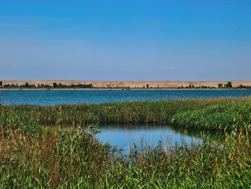 吸烟对人体的危害深远且严重，引发多种慢性疾病，损害心肺功能，危及生命安全