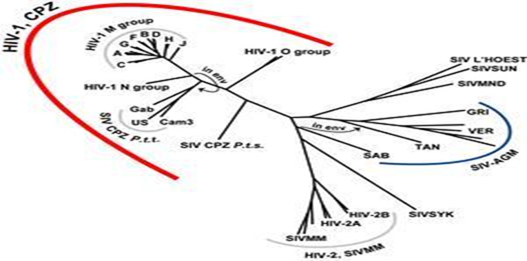 HIV-1和HIV-2，有何区别？_腾讯新闻