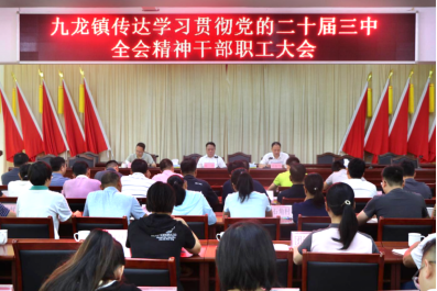 连江口,黎溪,东华,桥头,横石水,青塘,石灰铺,大湾,大洞,九龙,黄花镇