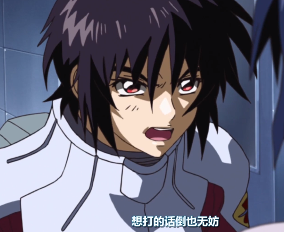 高达seed福田坦言真飞鸟和阿斯兰的关系不算糟糕只是喜欢互殴