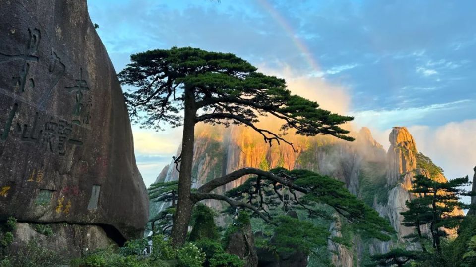 【天都评论】让"人人都是迎客松"成为黄山常态新风景