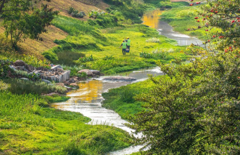 十年河湖之变:广州南岗河打造幸福河湖建设"广东样板"_腾讯新闻