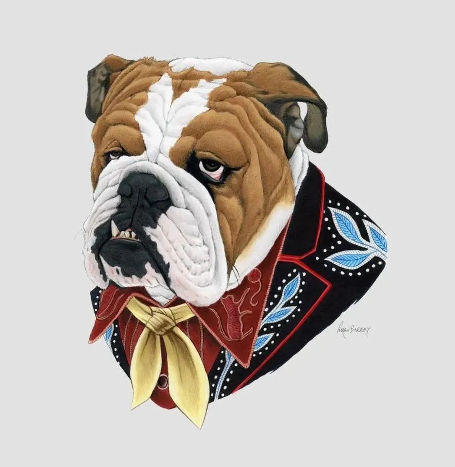 当动物穿上西装独特的气质让人都自愧不如