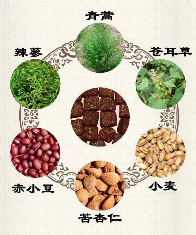 和六个神仙有关的功效神奇的中药——六神曲