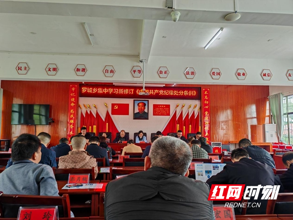 邵阳县罗城乡召开深化"明方向,立规矩,正风气,强免疫"干部队伍作风