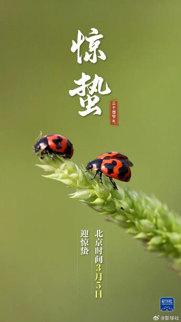 今日惊蛰 生机盎然