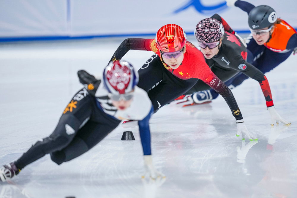 女子短道速滑，女子短道速滑杨帆原型