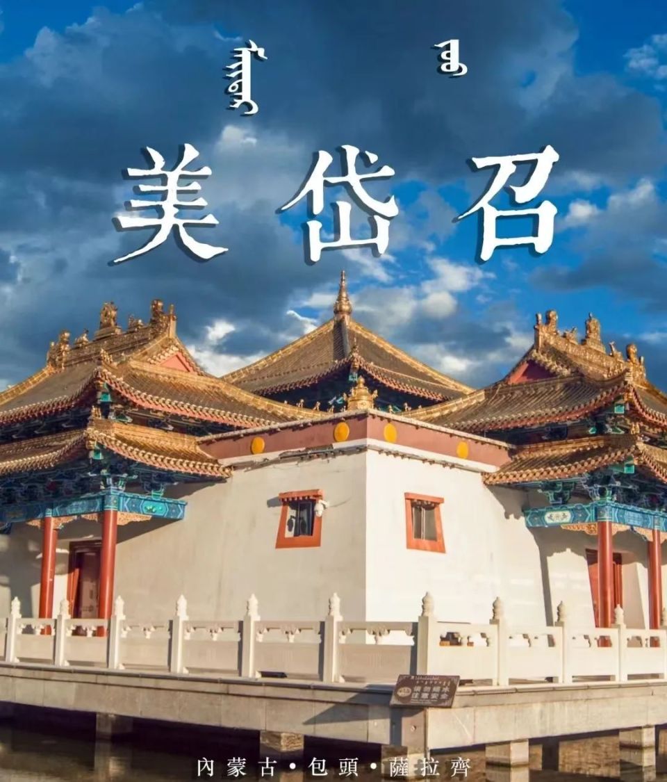 级旅游景区【哈素海】国家湿地公园,有"塞外西湖"之称中餐品尝【金驼