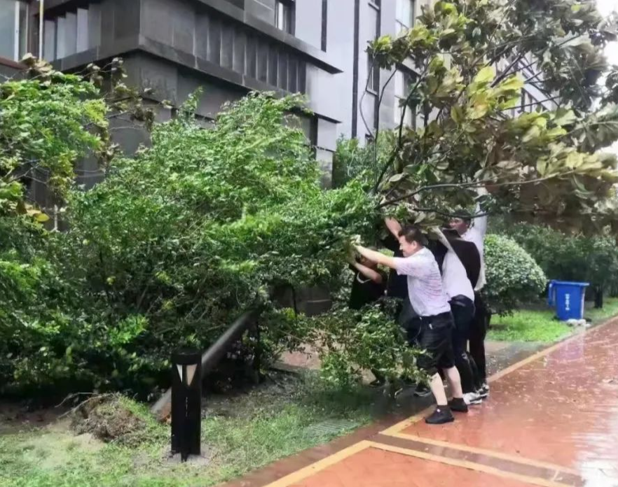 金辉物业怎么样？用行动创造美好，用服务温暖业主