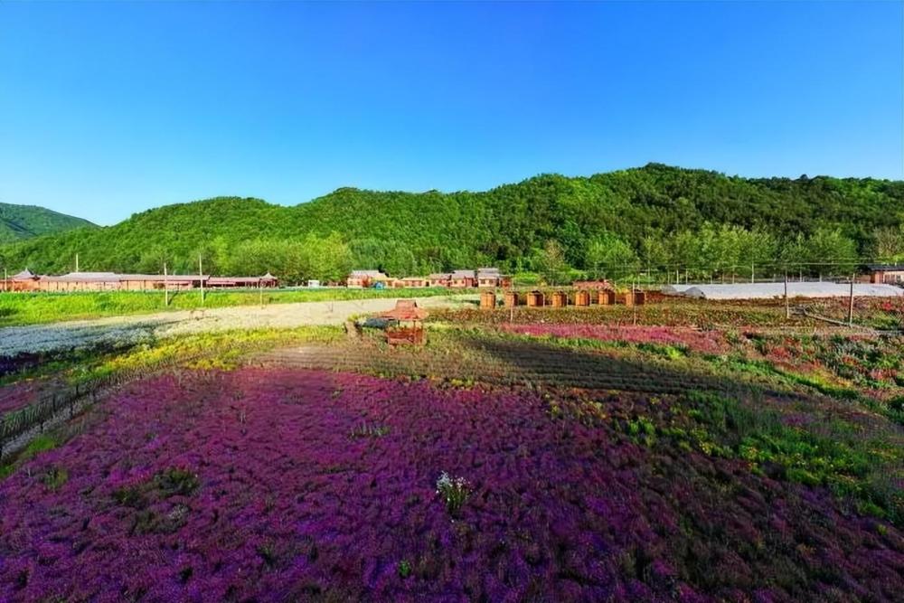 夏天去哪儿玩24条精品线路推荐来了