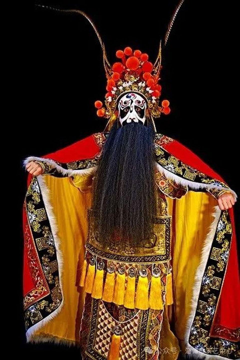 淄博人,免费领票看演出啦!数量有限,速抢