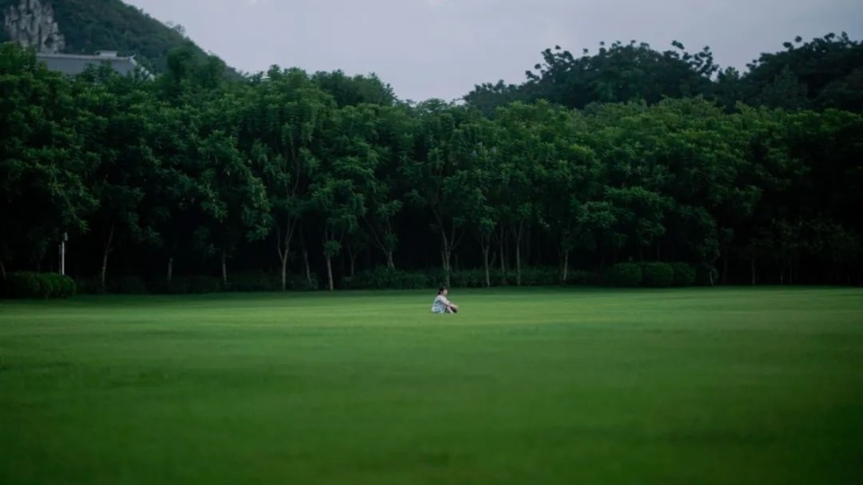 柳州马鹿山公园大草坪图片