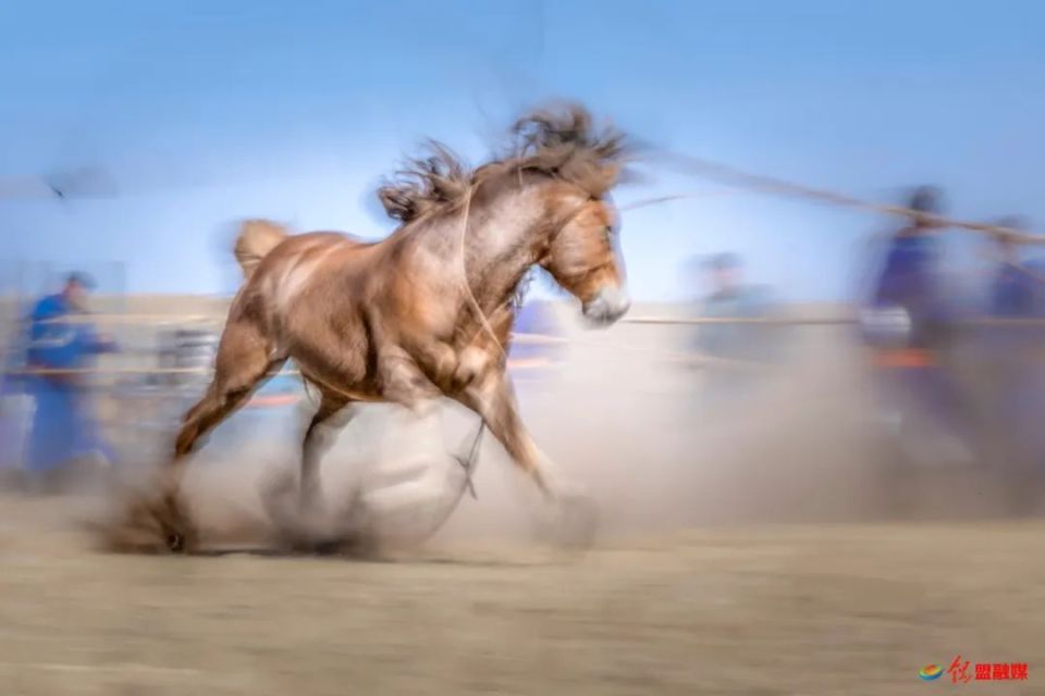 具有浓郁的地域特色是草原牧民驯马的一种手段套马翻身跃马草上飞