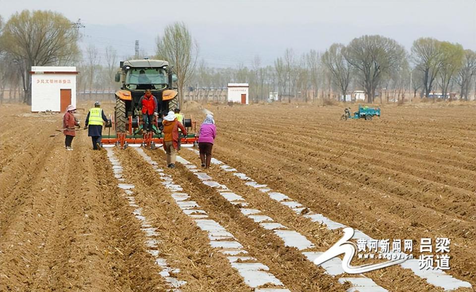 文水土地托管新模式推动春耕效率高