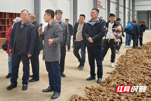 [南方生姜网-图片加载]