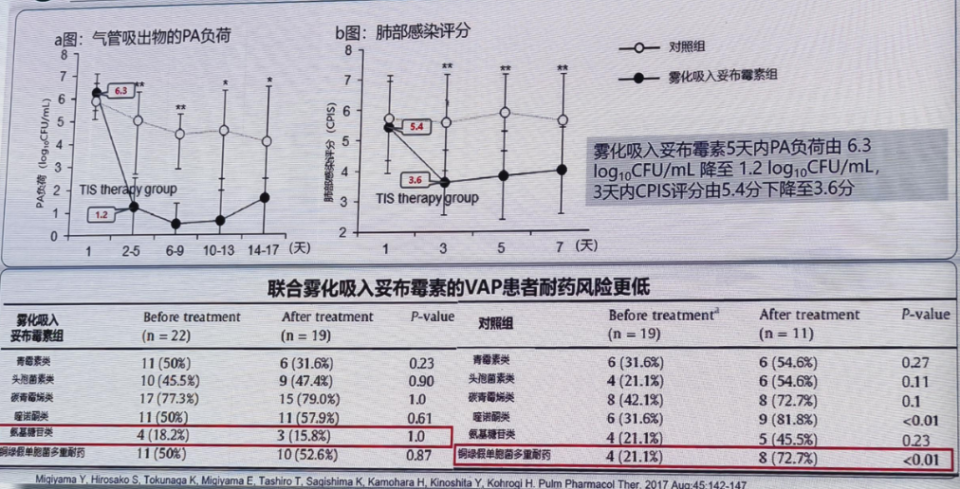 有创呼吸机怎么做雾化治疗下呼吸道铜绿假单胞菌感染，吸入抗菌药物怎么用？_https://www.jmylbn.com_新闻资讯_第10张