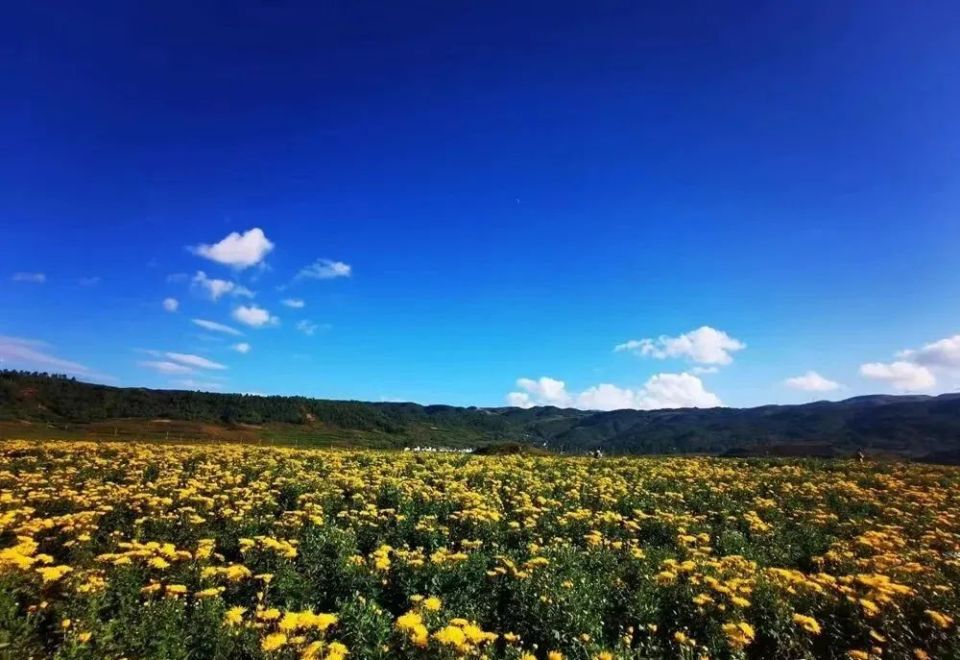 【美丽四川】走进大凉山——布拖县_腾讯新闻