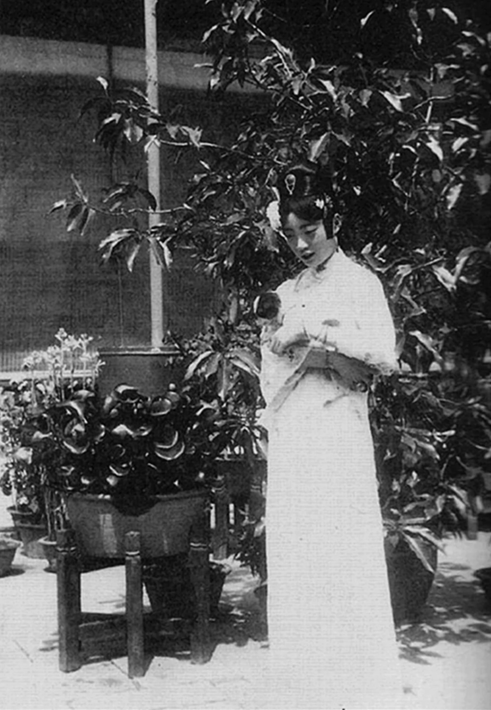 开个新系列讲民国渣女列传,第一个必须是重磅