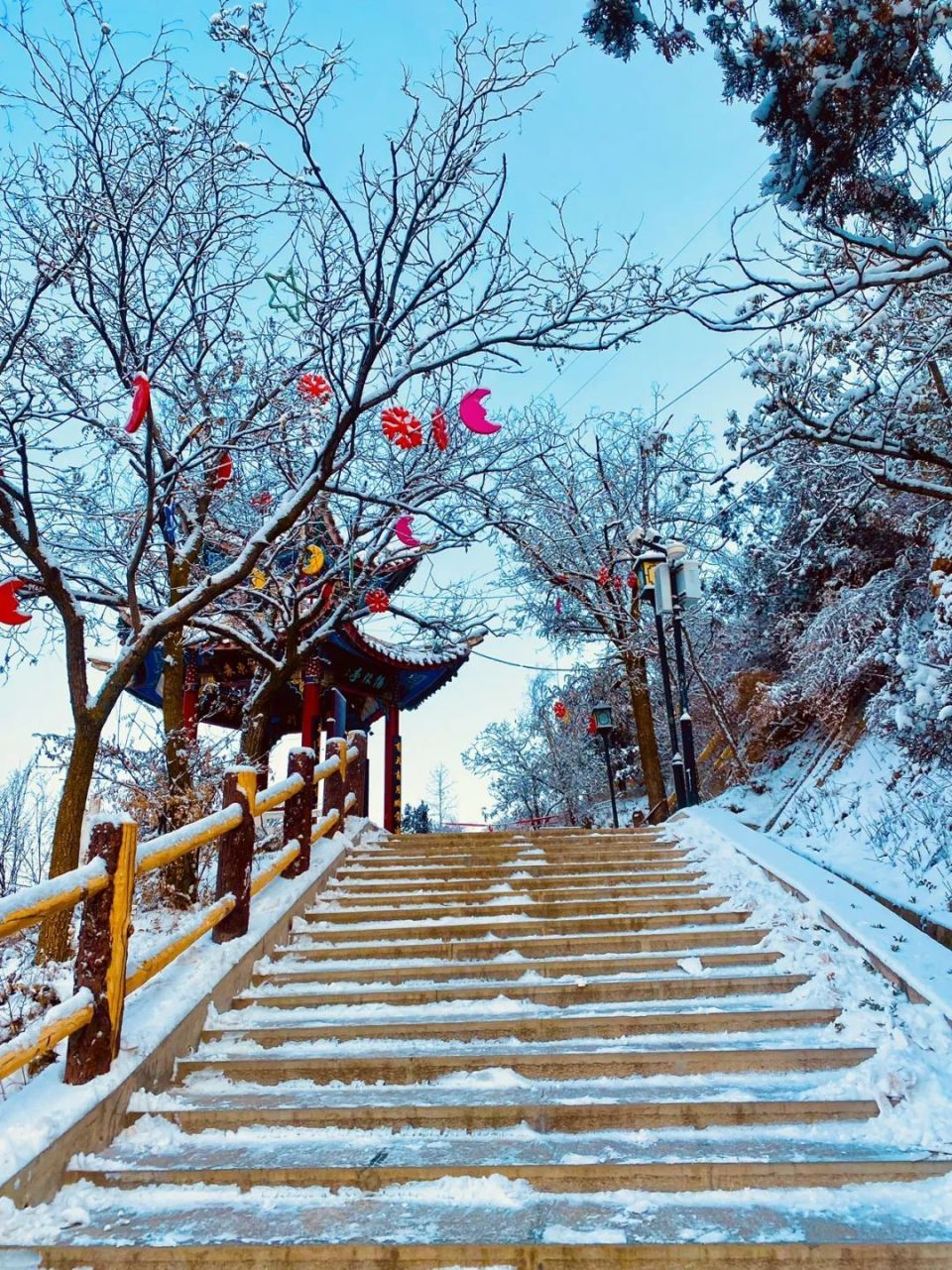 临洮岳麓山雪景