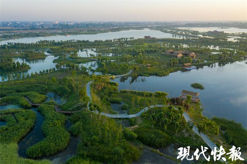 看清波荡漾，芳草萋萋！江苏首届“10佳湿地生态修复案例”出炉_腾讯新闻