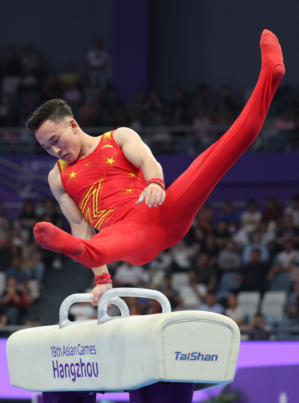 竞技体操——男子鞍马决赛赛况_腾讯新闻