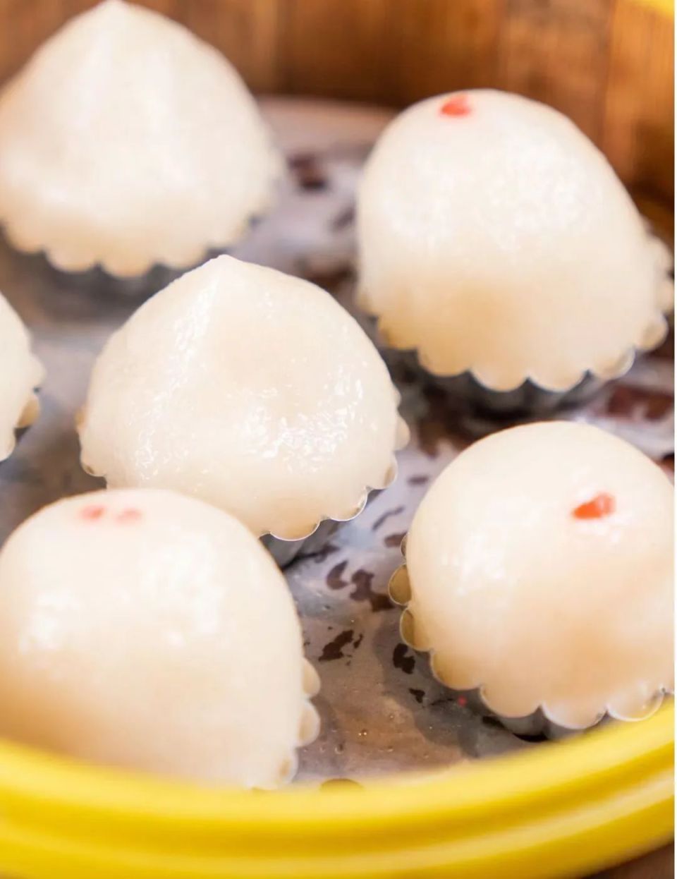 长沙臭豆腐|成为湖南美食届的新名片.