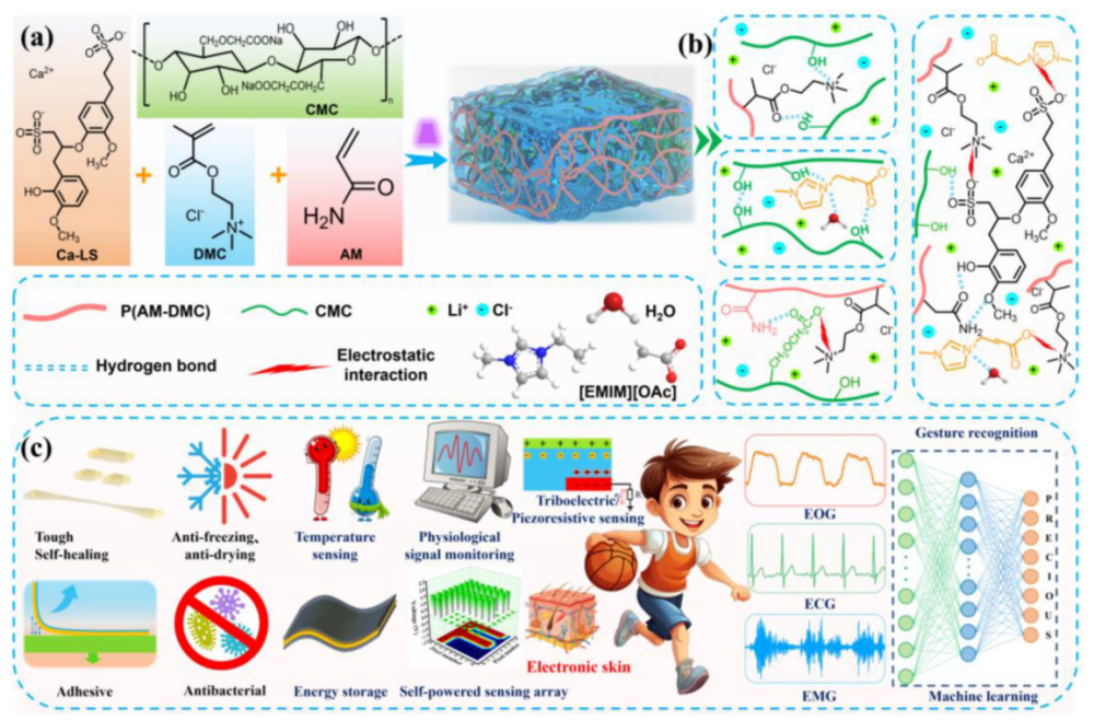 图1 LCPAD水凝胶的协同设计、多功能性质及集成应用