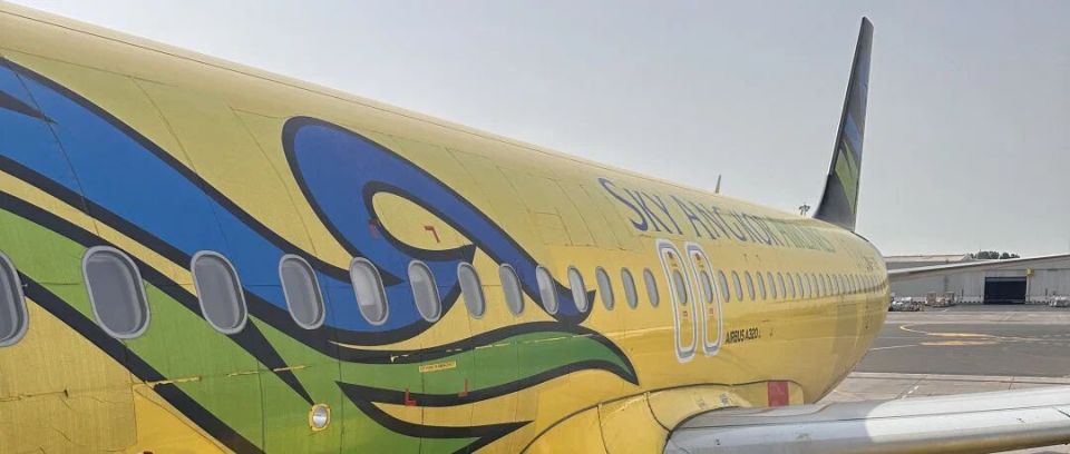 当“世界枢纽”按下暂停键，迪拜爆炸前后的24小时