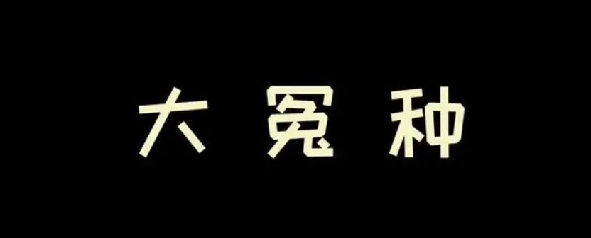 买高价货的都是大冤种