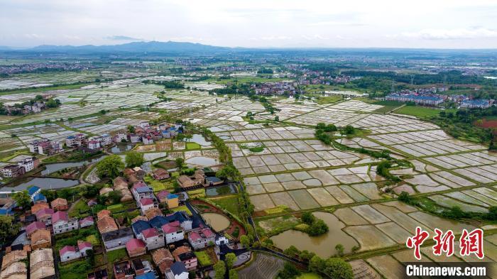 江西吉水春日田园景如画
