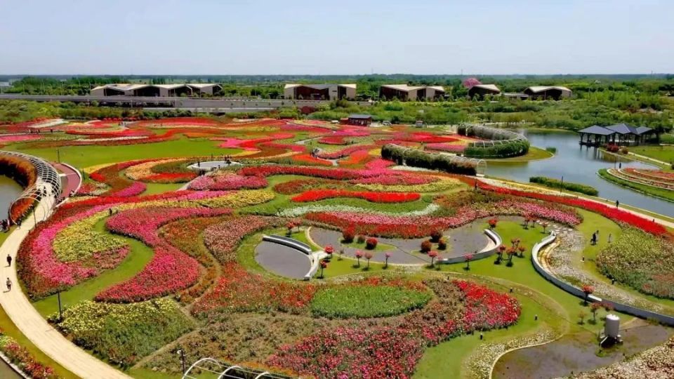 第二届世界月季博览会将于4月28日至5月5日在南阳举办_腾讯新闻