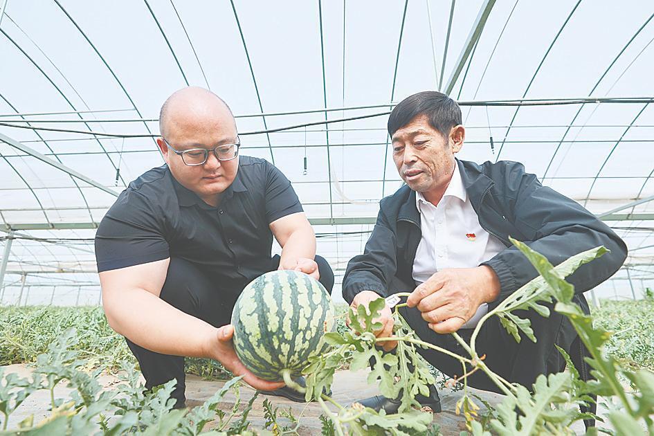 河南杞县柿园乡"农立方"成为村集体经济发展示范点_腾讯新闻