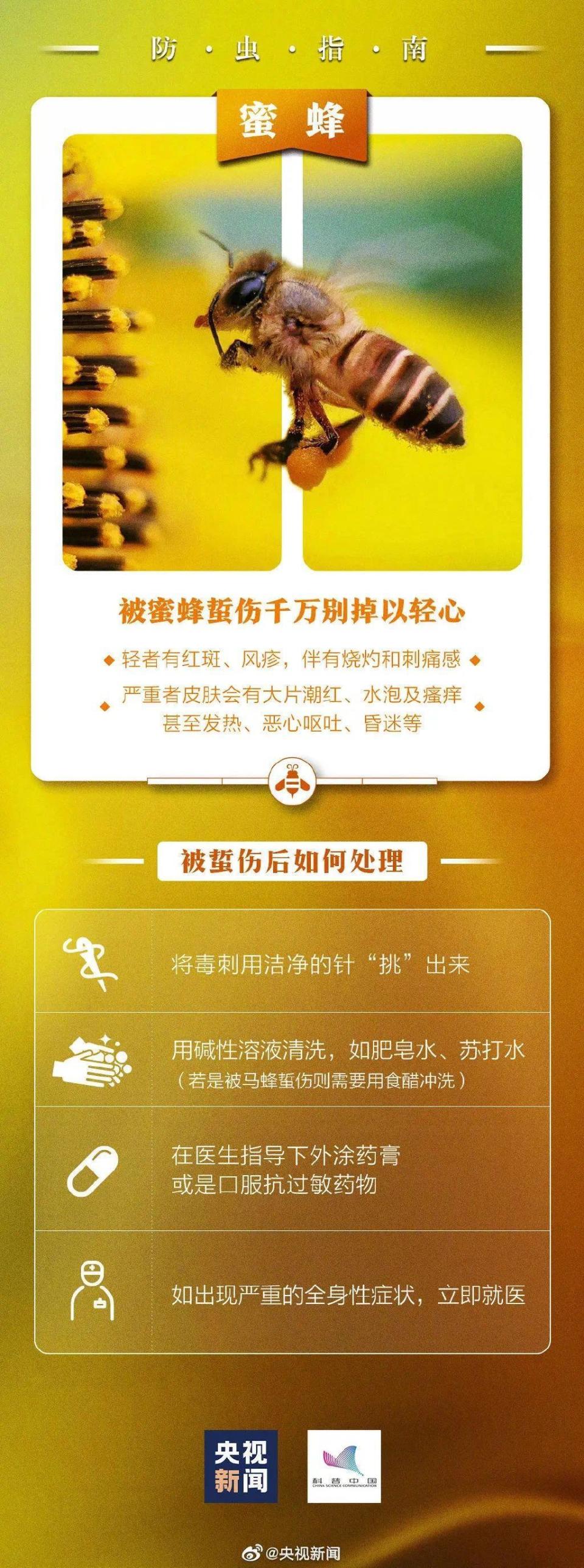隐翅虫是什么虫?遇到该如何处理?科普一下
