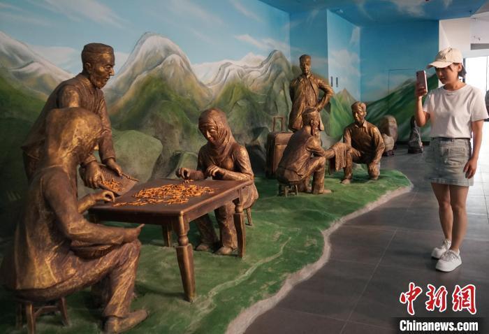 青海冬虫夏草采挖季 民众走进博物馆了解虫草文化