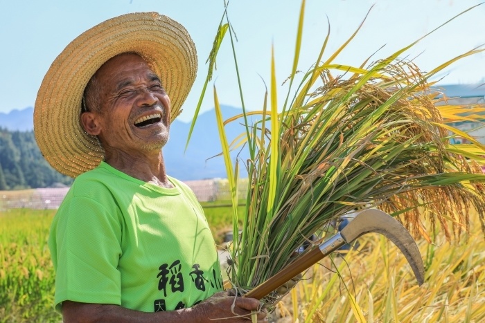 全国网络正能量摄影作品最美劳动者最佳人气作品